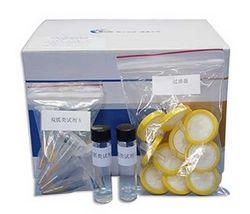 ZYD-SGL-10 雙胍類快篩試劑盒（藥品、保健食品檢測(cè)）