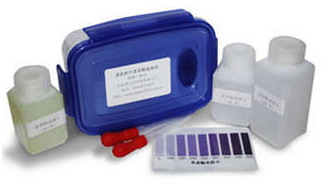 茶飲料中茶多酚速測盒