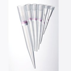 含100個maxitips吸頭