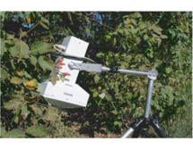 FC 1000-H便攜式熒光成像儀