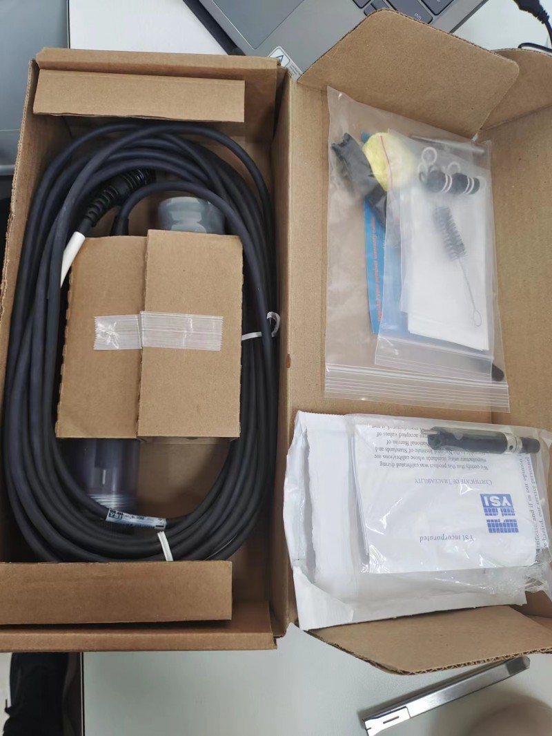 YSI ProQuatro 10米電纜線