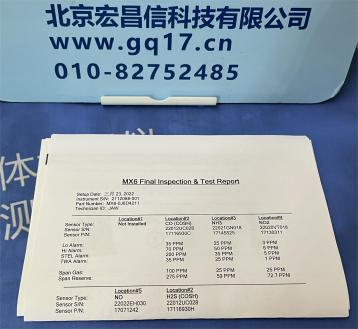 復合氣體檢測儀-英思科MX6