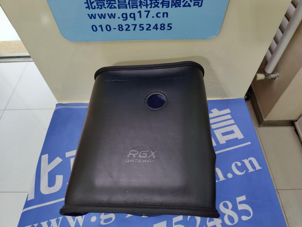 美國英思科 Radius BZ1泵吸式多氣體檢測儀 RGX無線網關