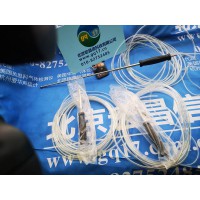 英思科ISC MX6 3米采樣探針